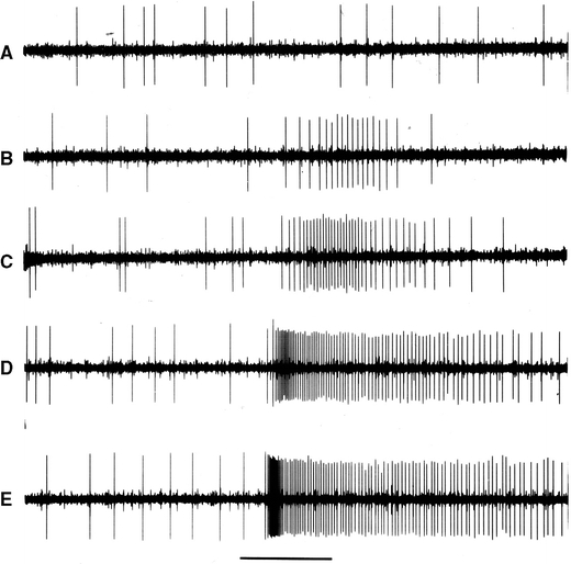 Fig. 8