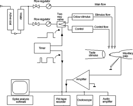 Fig. 2