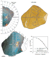 Fig. 7