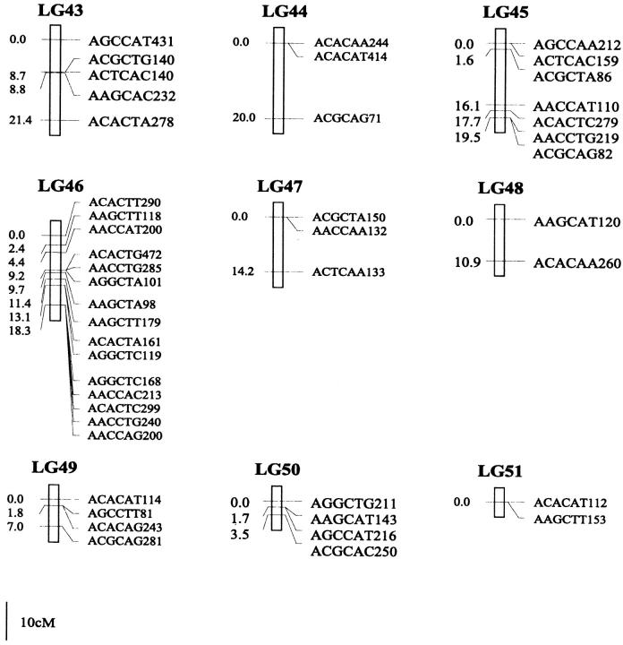 Figure 1.—