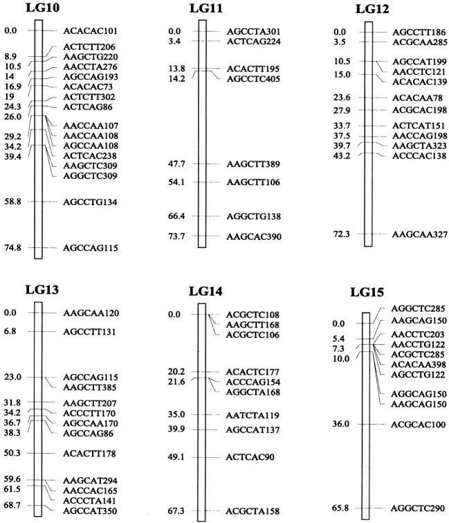 Figure 1.—