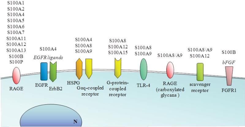 Fig. (7)