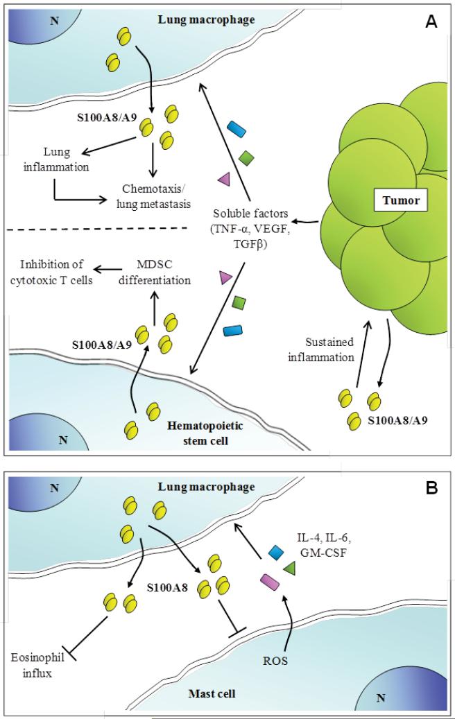 Fig. (9)