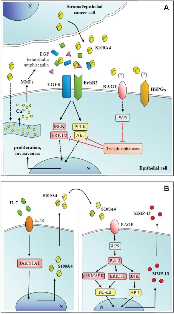Fig. (8)