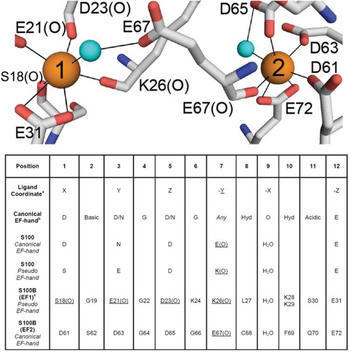 Fig. (1)