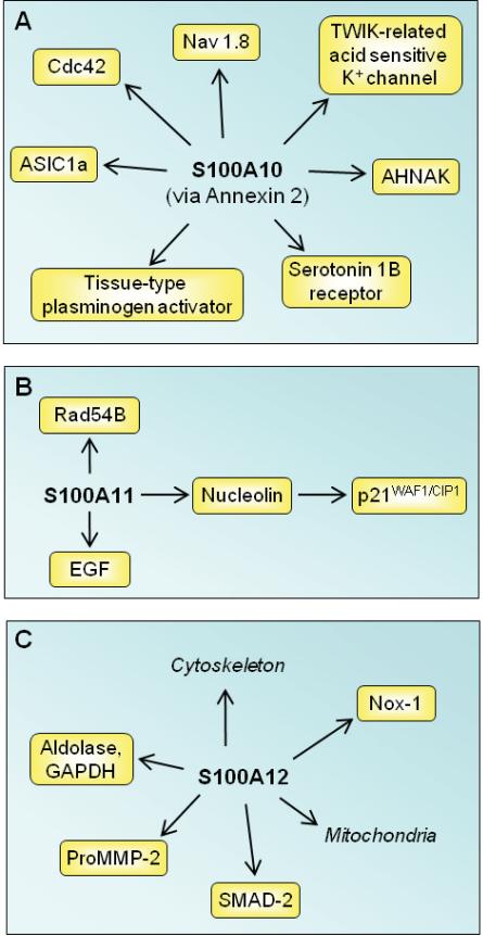 Fig. (5)