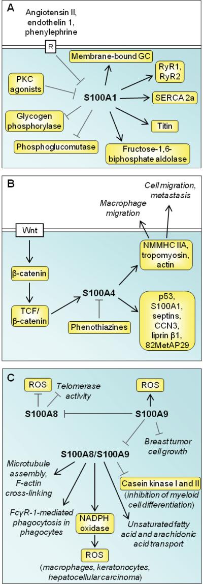 Fig. (3)