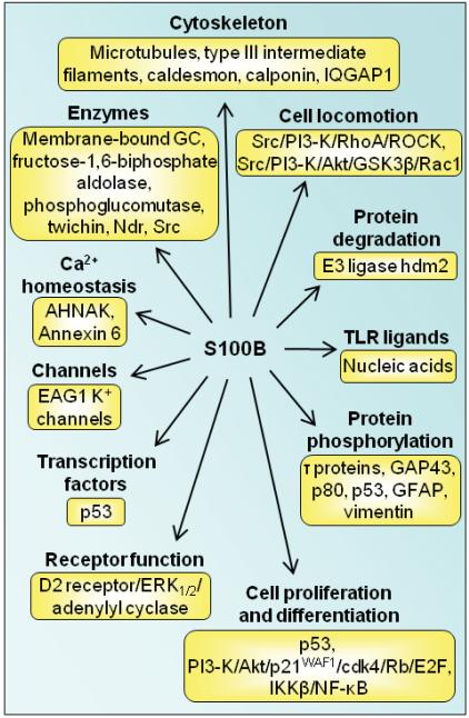 Fig. (6)