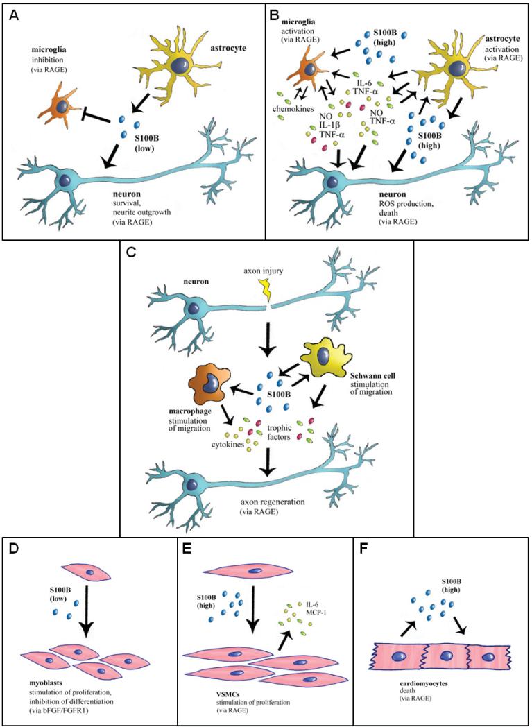 Fig. (11)