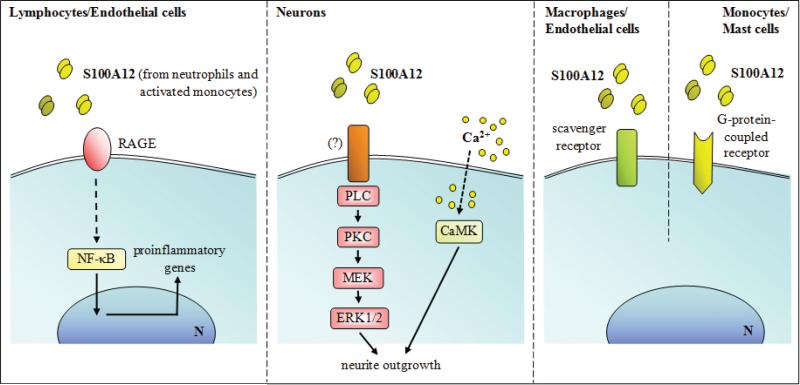 Fig. (10)