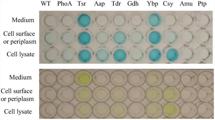 Fig 2