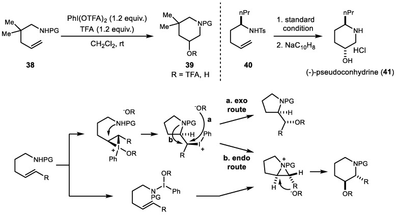 Scheme 8