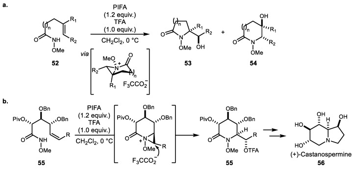 Scheme 11