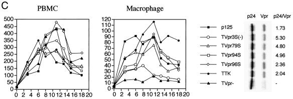 FIG. 5