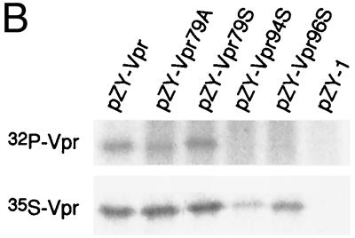 FIG. 5