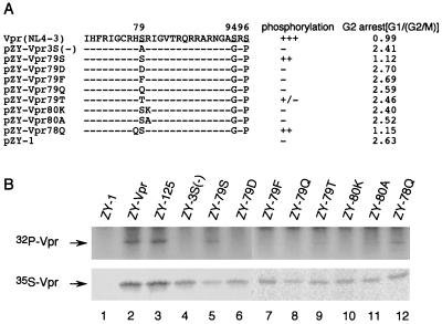 FIG. 6