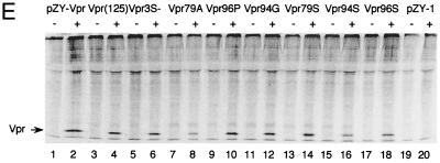 FIG. 5