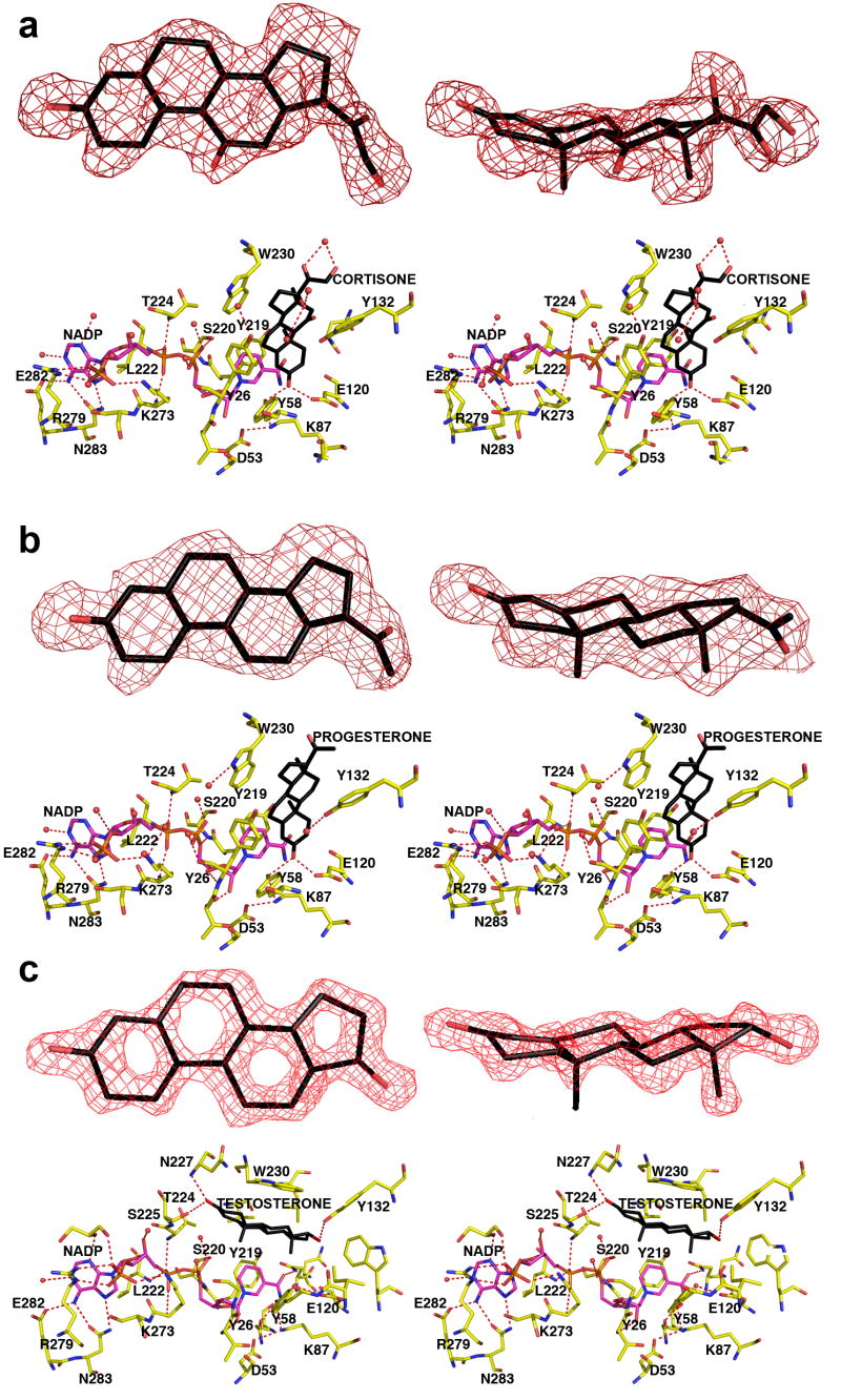 FIGURE 4