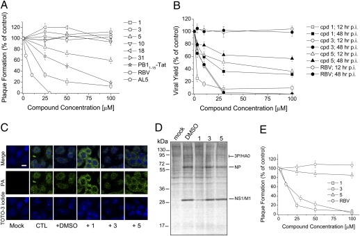 Fig. 4.