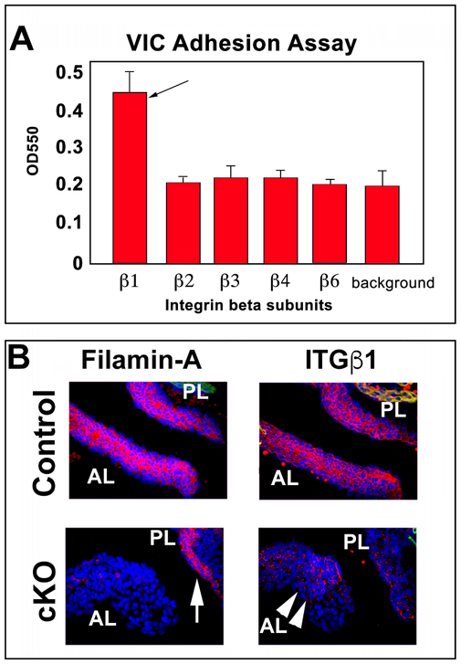 Figure 4: