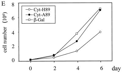 FIG. 7