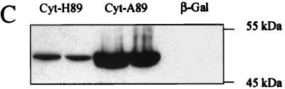 FIG. 7