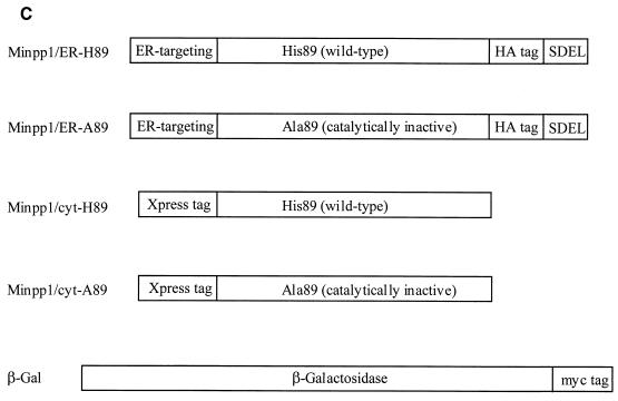 FIG. 6