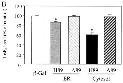 FIG. 7