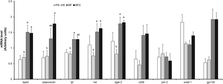 Fig. 4