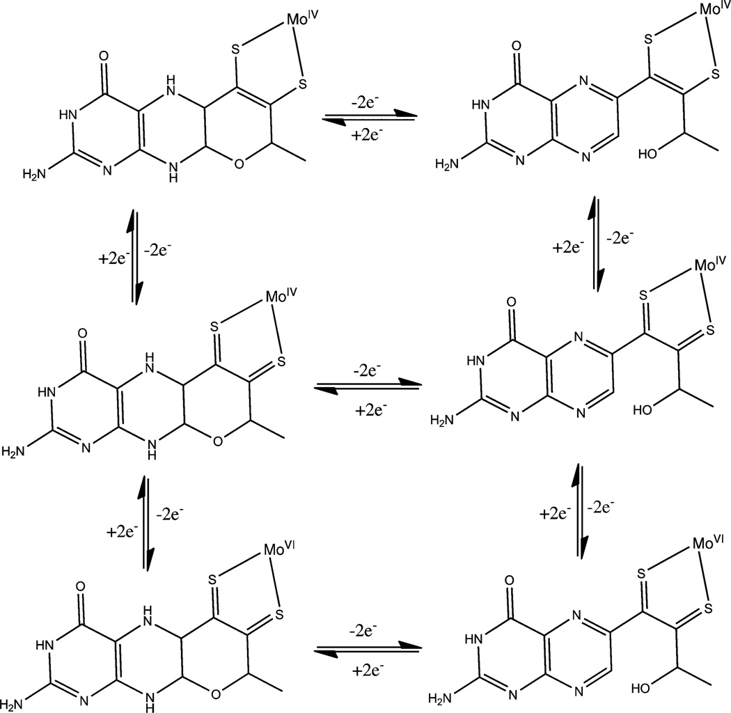 Fig. 6