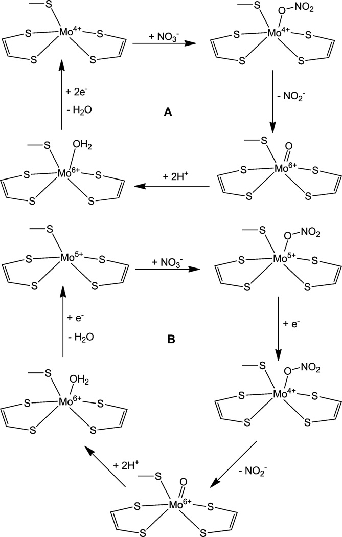 Fig. 10