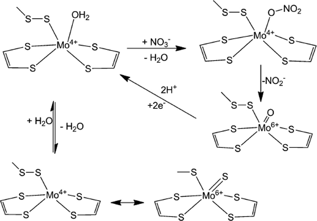 Fig. 12