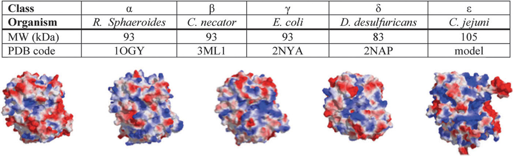 Fig. 9