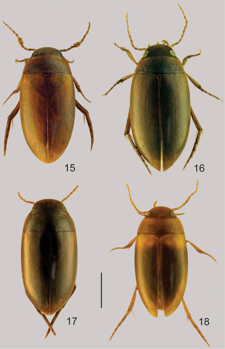 Figures 15–18.