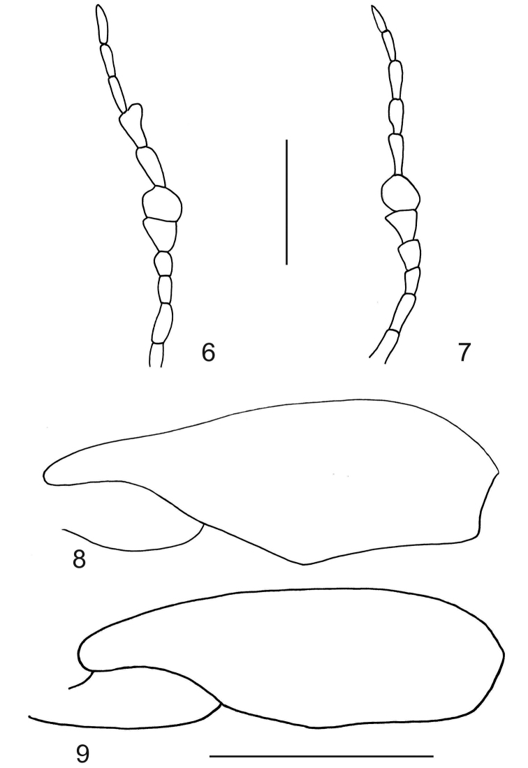 Figures 6–9.