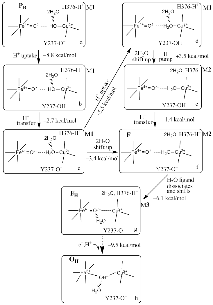 Figure 13.