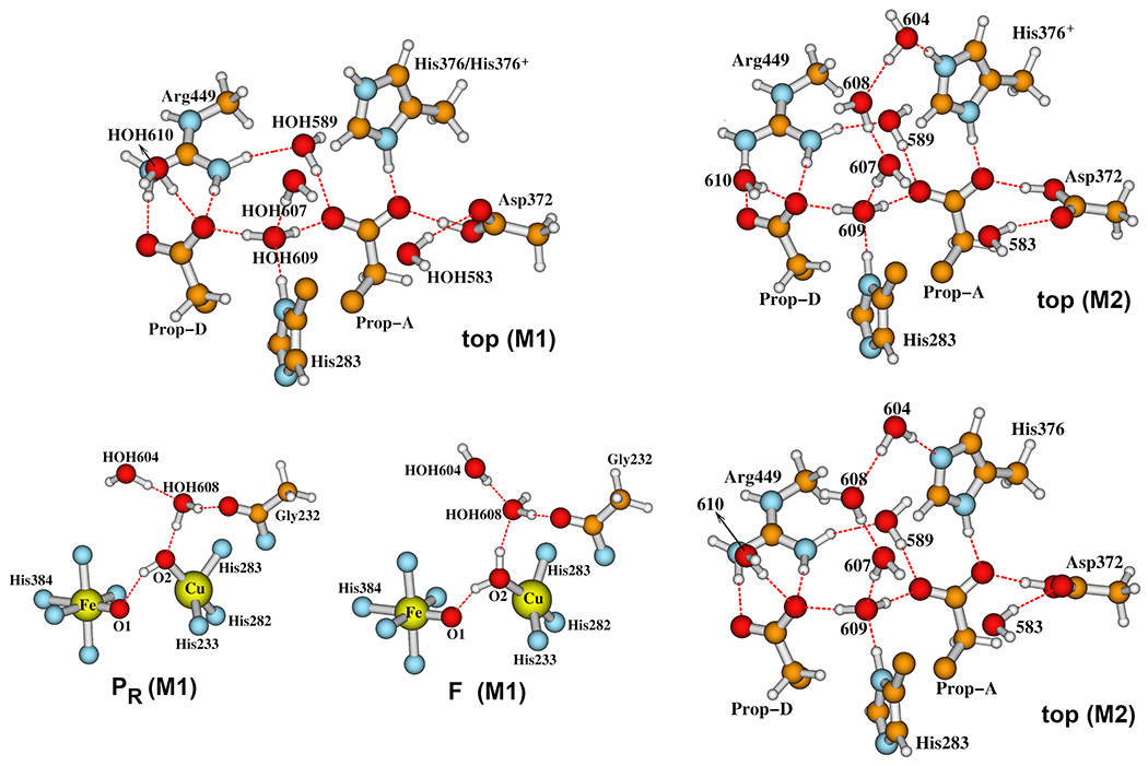 Figure 12.