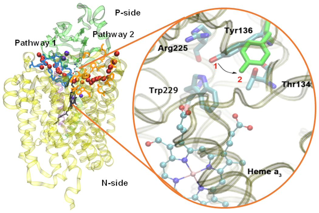 Figure 16.