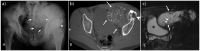 Fig. 8