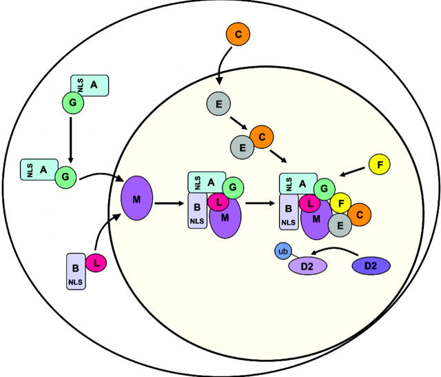 Figure 7.