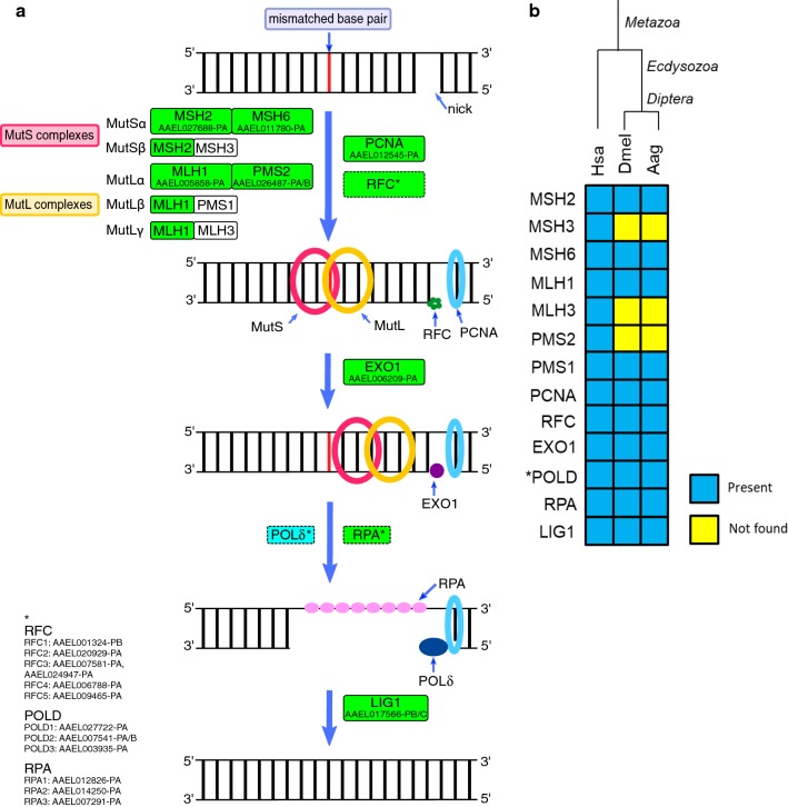 Fig. 7