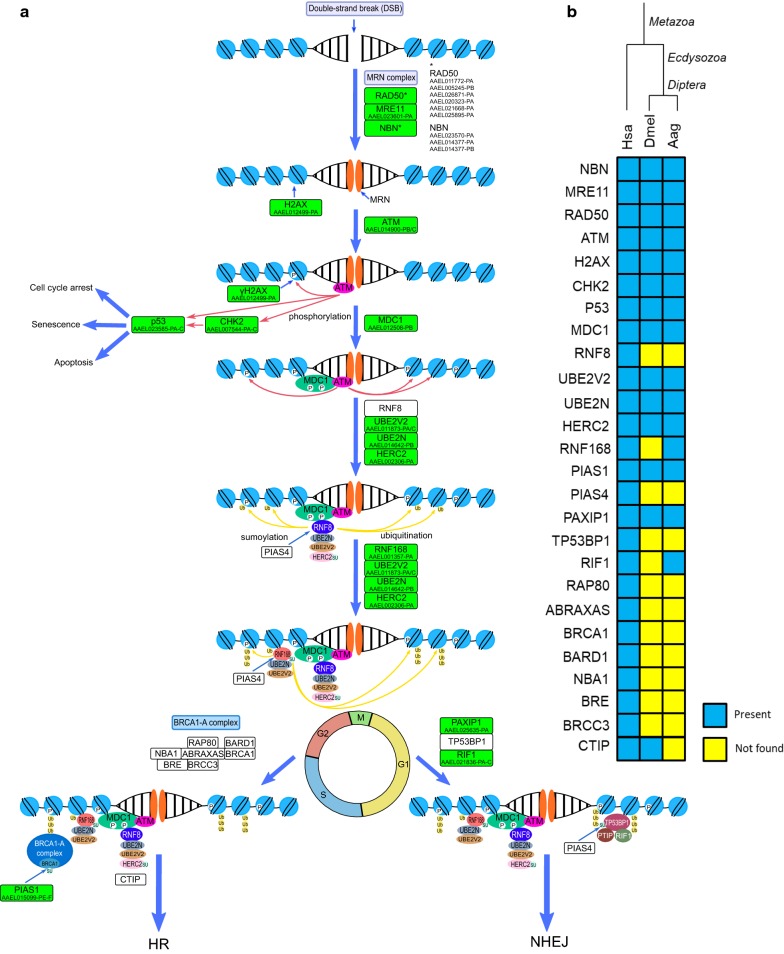 Fig. 2