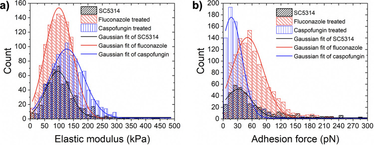 FIG 3