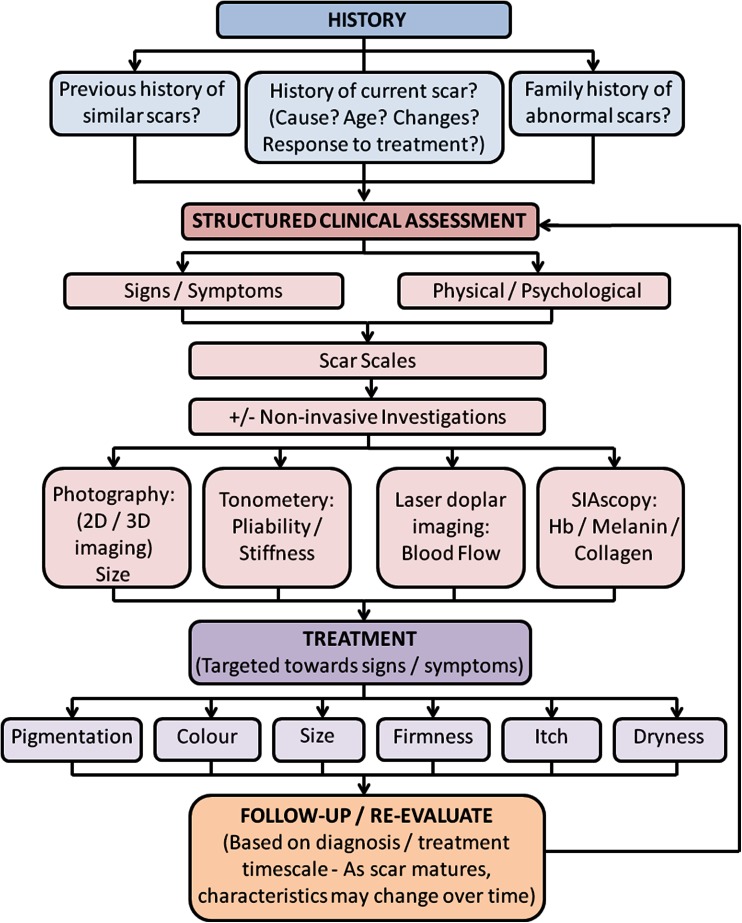 Fig. 2