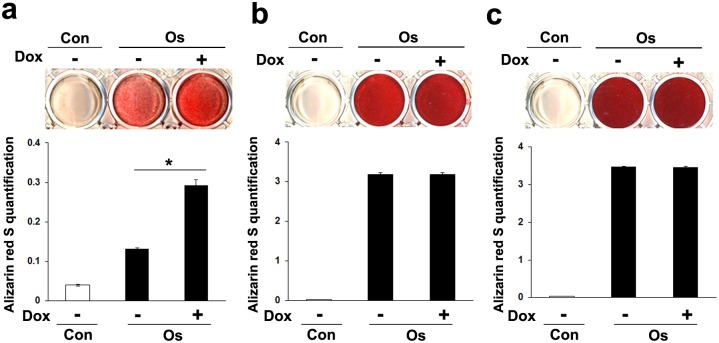 Fig 6