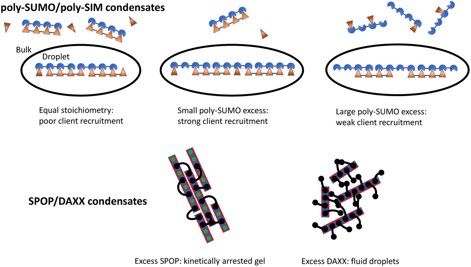 Figure 7: