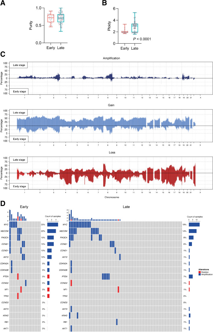 Figure 3. Focal gene amplifications and deletions in early-stage and late-stage cohorts. A, Purity comparison of early-stage and late-stage cohorts. B, Ploidy comparison of early-stage and late-stage cohorts; Mann–Whitney test. C, Global CN amplifications, gains and losses in early-stage and late-stage cohorts. D, Estimation of focal amplifications and deletions in 17 genes of interest, determined by sWGS. The top plot shows the number of amplifications and deletions in each tumor sample.