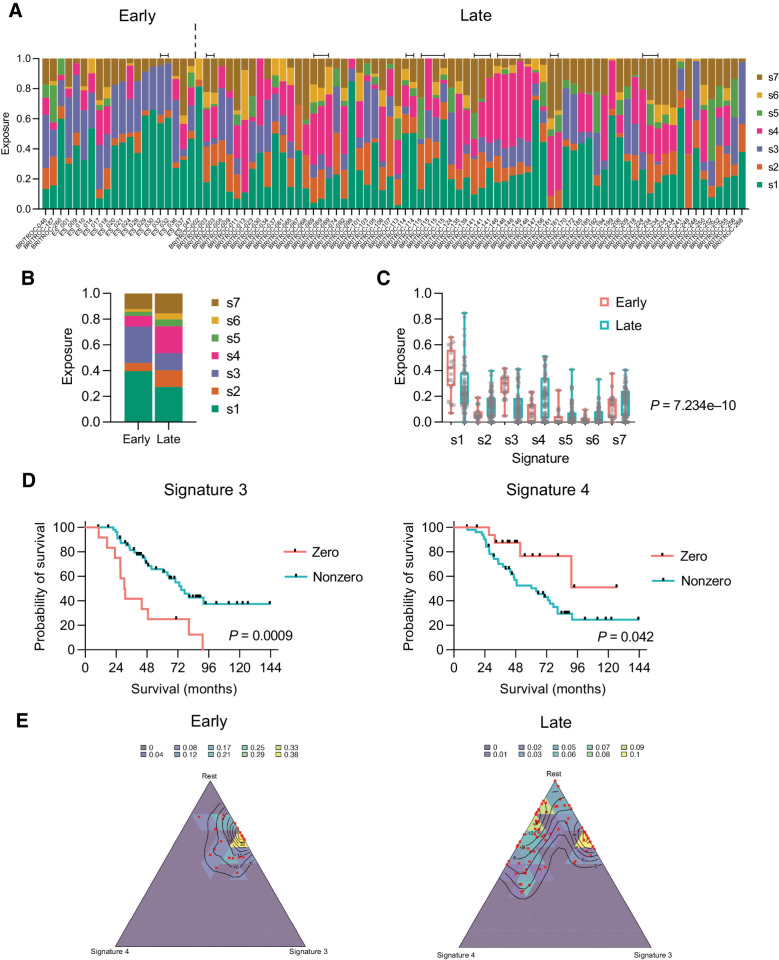 Figure 4. CN signatures in early-stage and late-stage cohorts. A, CN signature exposures in early-stage and late-stage patients. Note that signature exposures sum to 1 in each sample. Bars above signatures indicate adjacent samples derived from the same patient. B, Mean signature exposure proportions across the early-stage and late-stage cohorts. C, Comparison of signature exposures across early-stage and late-stage cohorts; Wald test. D, Overall survival of combined early-stage and late-stage cohorts by zero versus nonzero exposures to CN signature 3 (left) and 4 (right). Log-rank (Mantel–Cox) analysis. E, Simplex plots representing exposures for CN signature 3 (right axis), signature 4 (bottom axis), and the rest of the signatures (1–S3–S4) combined (left axis) in early-stage (left) and late-stage (right) cohorts. Each red dot represents a single sample, and the contours represent the density of observed samples.