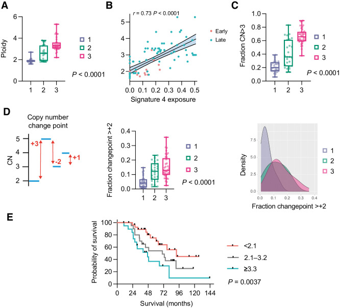 Figure 6. Cluster ploidy and WGD. A, Ploidy distribution of late-stage samples in three clusters. Kruskal–Wallis test. B, Correlation between CN signature 4 exposure and ploidy across both cohorts. Spearman rank correlation. C, Fraction of CN segments with absolute CN ≥3 in three clusters. Kruskal–Wallis test. D, CN changepoint. Graphic depiction of CN changepoint (left); distribution of CN changepoint ≥+2 in the three clusters. Kruskal–Wallis test (center); density distribution (right). E, Overall survival of combined early-stage and late-stage cohorts by ploidy. Log-rank for trend analysis.