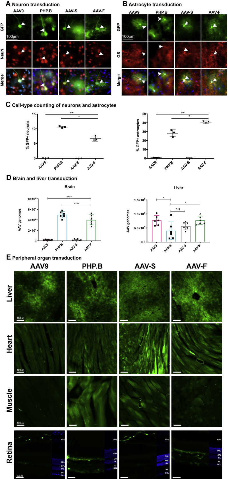 Figure 4